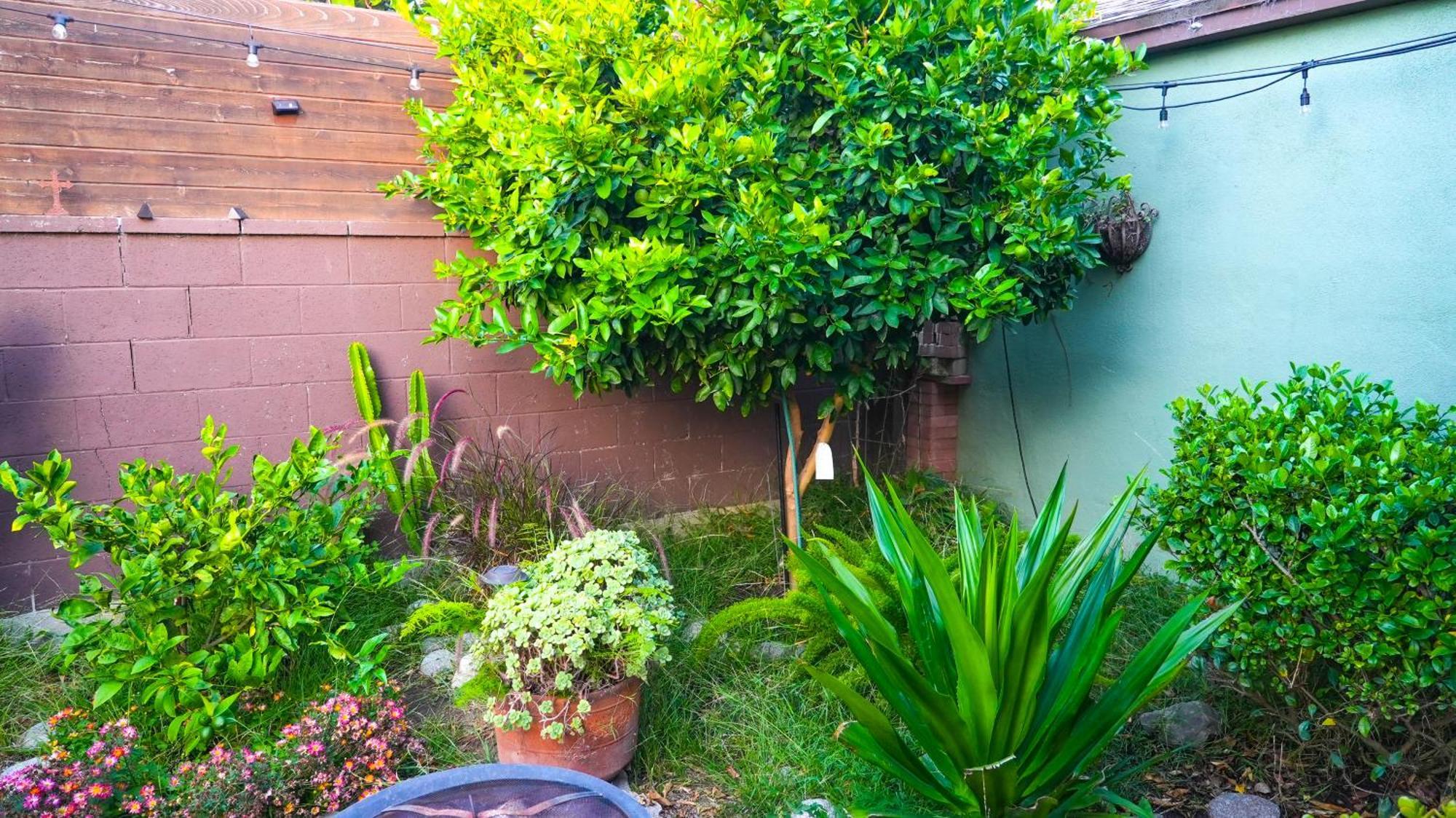 Cozy Private Guest House Los Angeles Exteriér fotografie